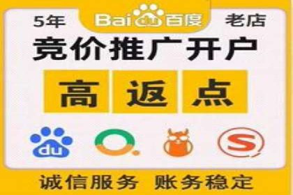 行业领先企业的SEM代运营成功之路